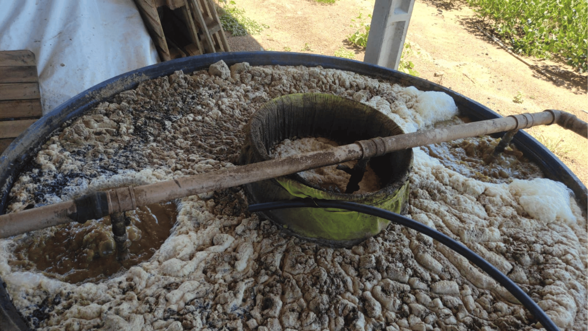 Descubra Como o Biofertilizante de Compostagem Líquida CLC Revoluciona a Produção