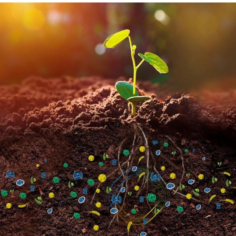 O que são microrganismso eficazes? São uma mistura de bactérias, fungos, leveduras e actinobactérias