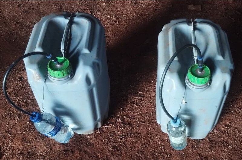 fermentação primária de microrganismos eficazes