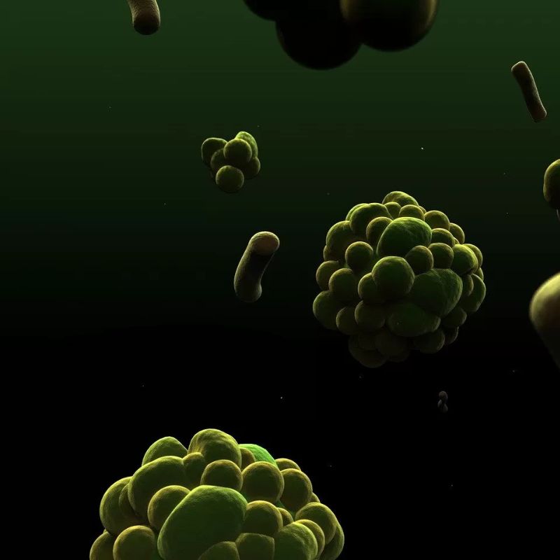 7 Benefícios dos Microrganismos Eficazes