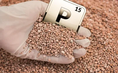 Desbloqueando o Fósforo do Solo com Microrganismos Biológicos