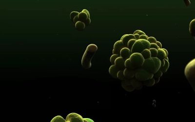 Descubra como aumentar a sua produtividade através dos Microrganismos Eficientes, e com isso, reduzindo custos e melhorando a saúde do solo.